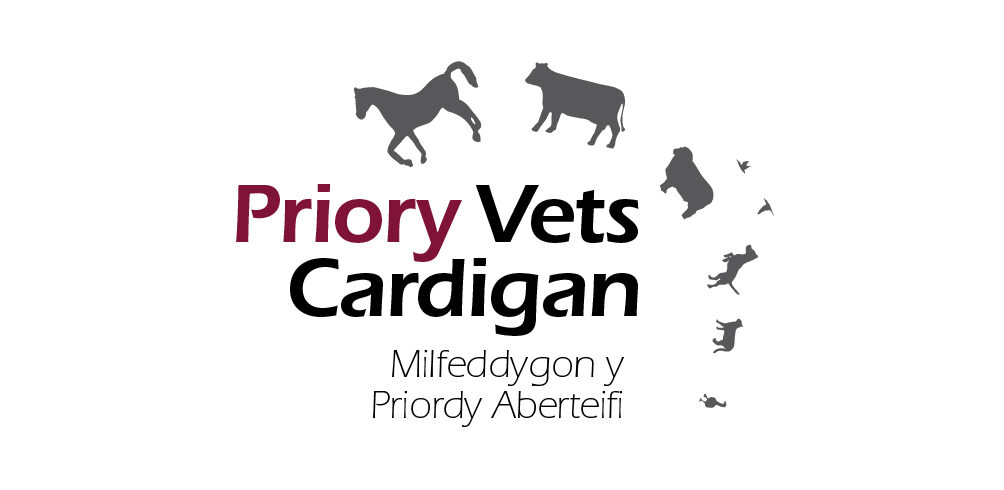 Priory Vets Cardigan