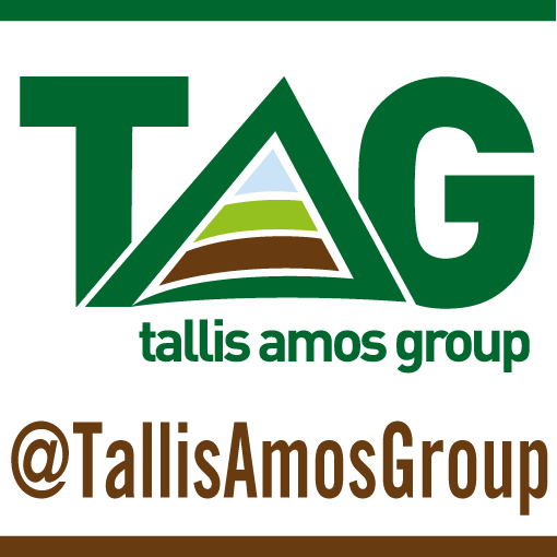 Tallis Amos Group Ltd