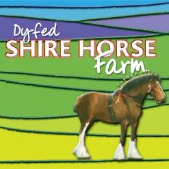 Dyfed Shire Horse Farm 